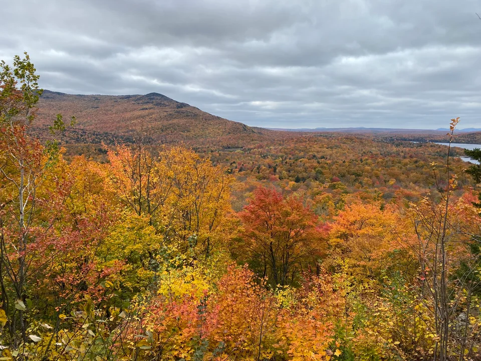 Golden and orange foliage stretching across wooded hills beneath low clouds.