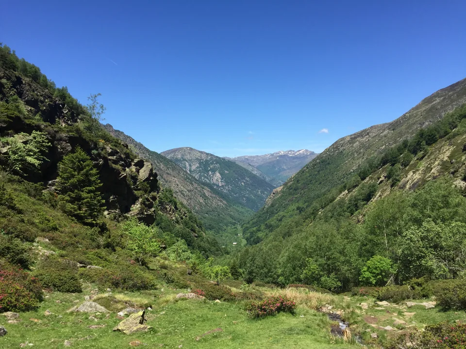 A deep green mountain valley with rocky slopes, scattered trees, and a small stream.