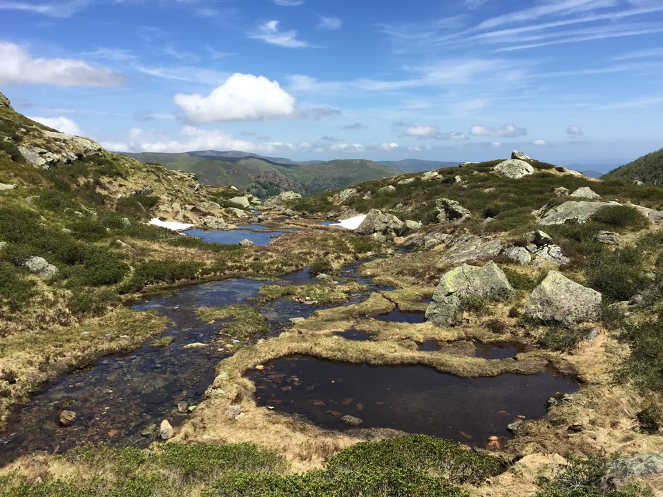 Small pools reflecting the sky among grassy hummocks and pale mountain rocks.