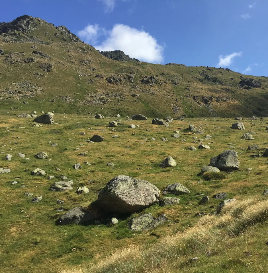 Grass and scattered boulders on an open mountain slope.