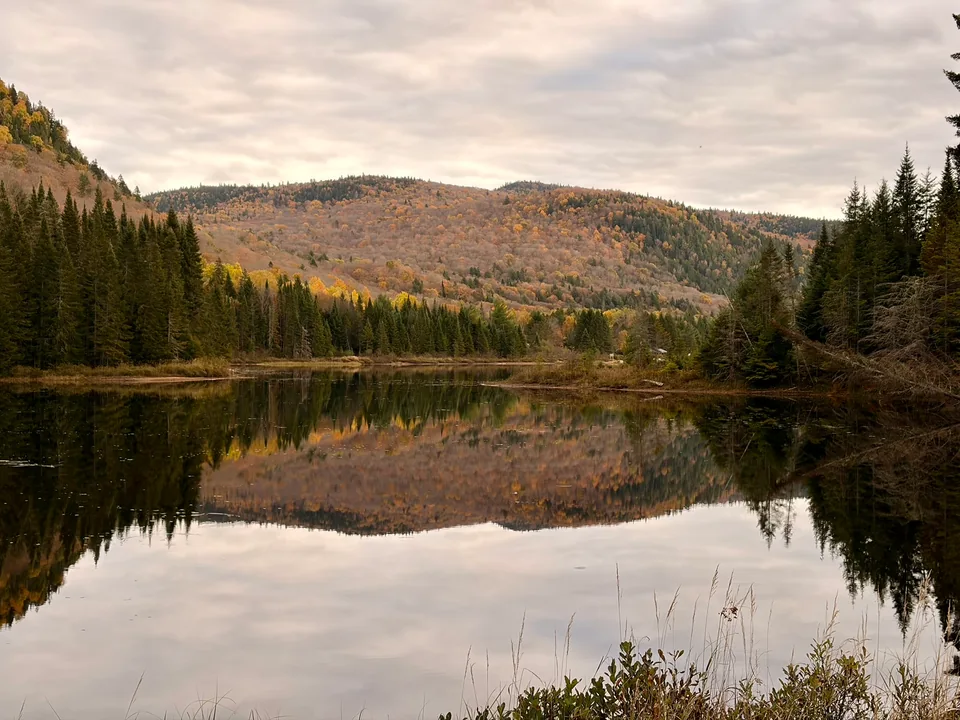 Autumn trees and a cloudy sky reflected in a still lake.