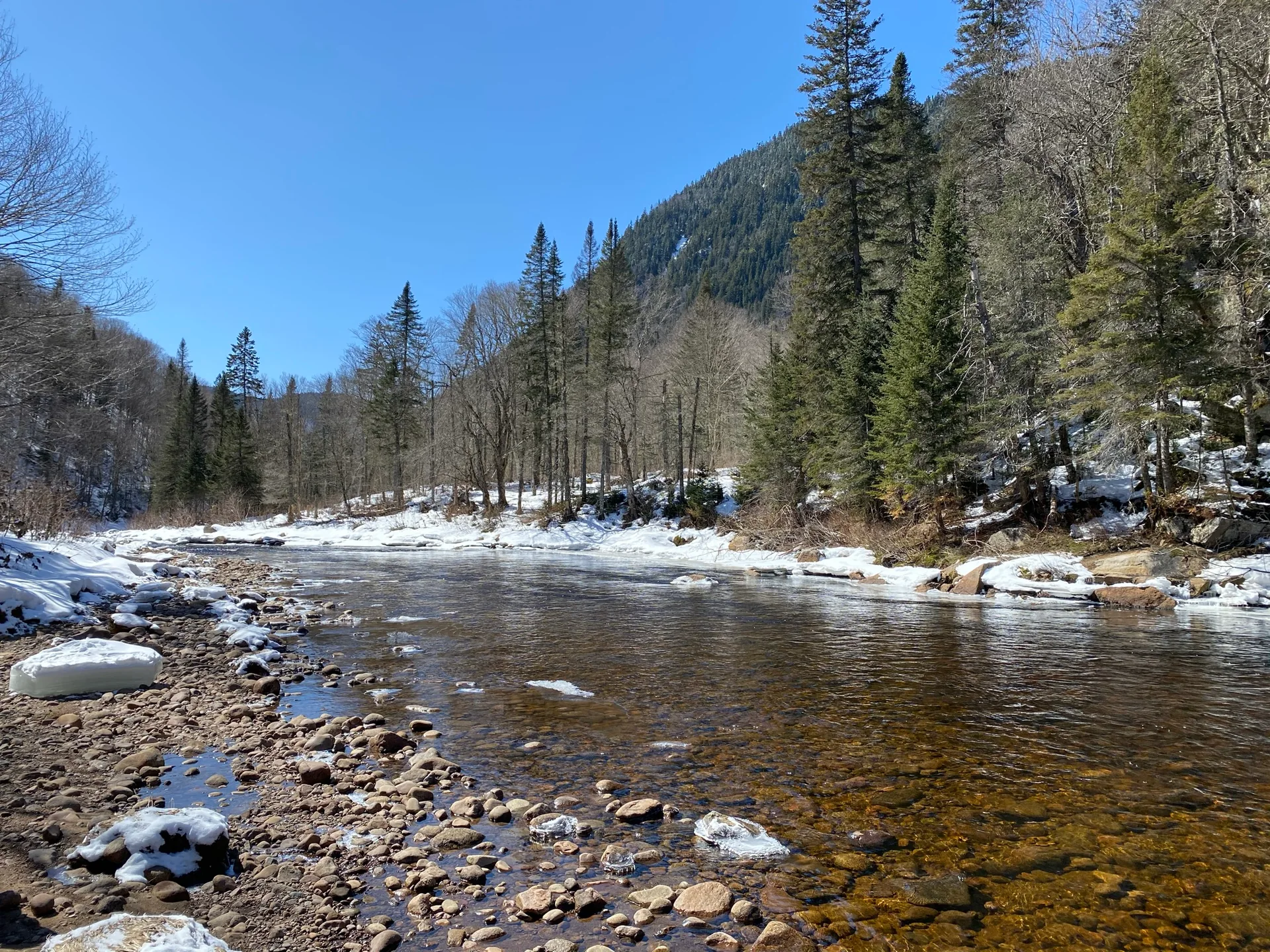 Clear river water flowing past stones, snow, and forested banks.