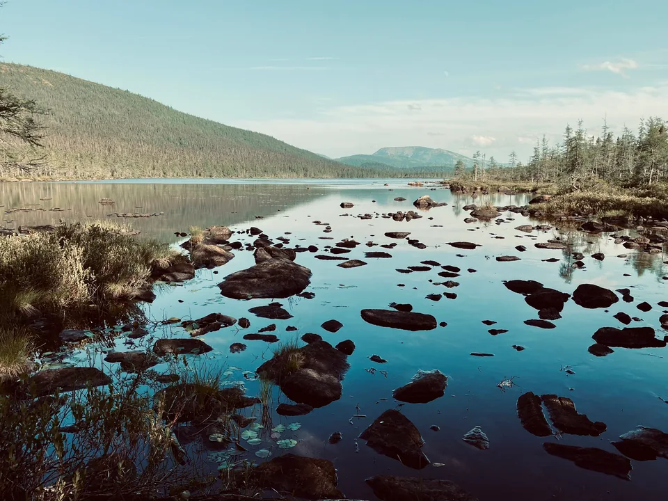 Dark rocks and shrubs beside calm blue water and forested slopes.